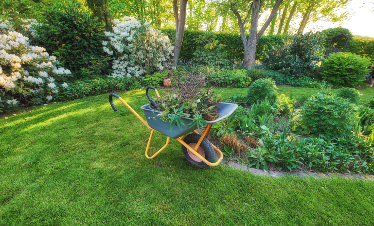Lawn Care in Barrie, Ontario