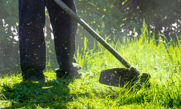 Lawn Care in Barrie